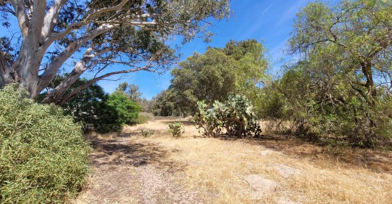 4 Bedroom Property for Sale in Hopefield Western Cape